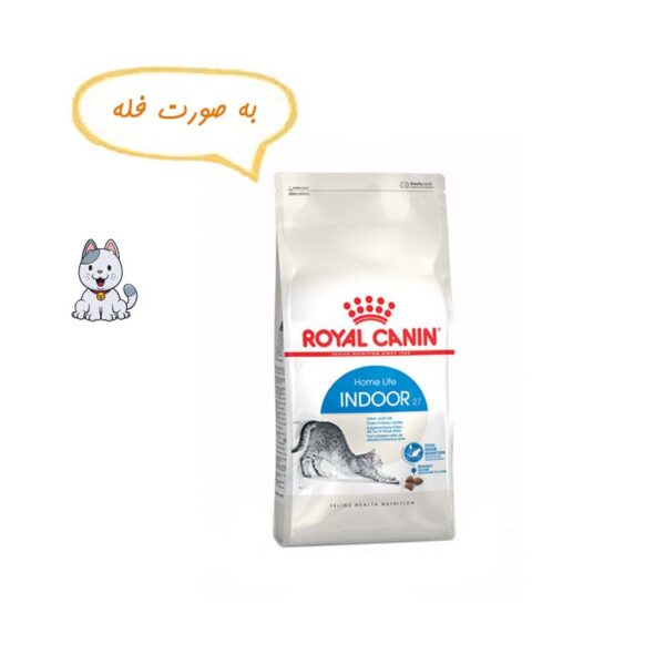 غذا خشک گربه خانگی ایندور رویال کنین نیم کیلوگرم Royal Canin Indoor