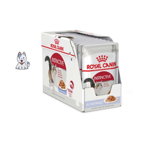 پوچ گربه بالغ ژله ایی رویال کنین 85 گرم Royal Canin Instinctive
