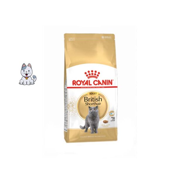 غذا خشک گربه بریتیش رویال کنین 2 کیلوگرم Royal Canin British Shorthair