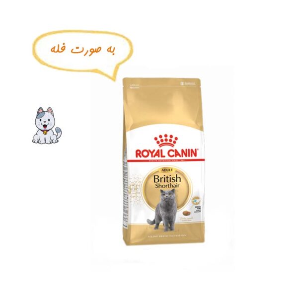 غذا خشک گربه بریتیش رویال کنین نیم کیلوگرم Royal Canin British Shorthair