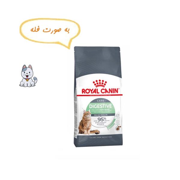 غذا خشک گربه زود هضم رویال کنین نیم کیلوگرم Royal Canin Digestive