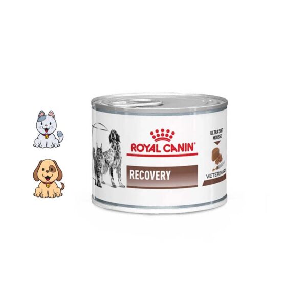 کنسرو ریکاوری سگ و گربه رویال کنین 195 گرم Royal Canin Recovery