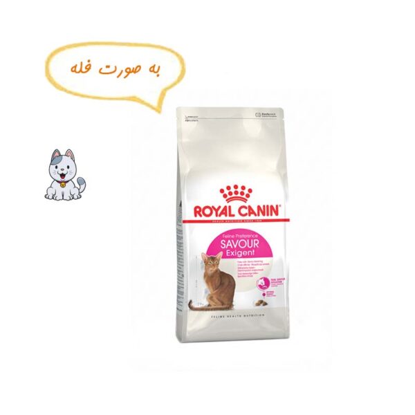 غذا خشک گربه بدغذا رویال کنین نیم کیلوگرم Royal Canin Savour Exigent