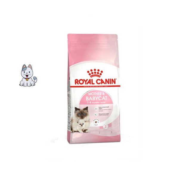 غذا خشک گربه مادر و بچه رویال کنین 2 کیلوگرم Royal Canin Mother & Babycat