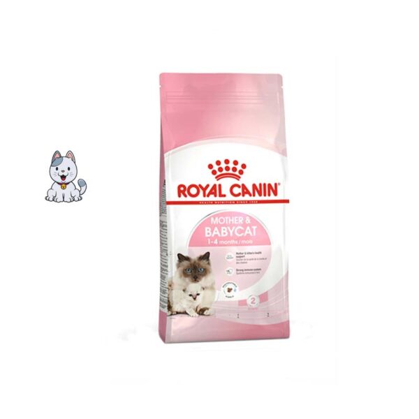 غذا خشک گربه مادر و بچه رویال کنین 4 کیلوگرم Royal Canin Mother & Babycat