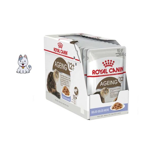 پوچ گربه مسن رویال کنین 85 گرم Royal Canin Ageing