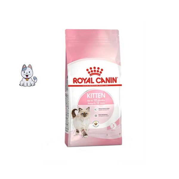 غذا خشک بچه گربه رویال کنین 4 کیلوگرم Royal Canin Kitten