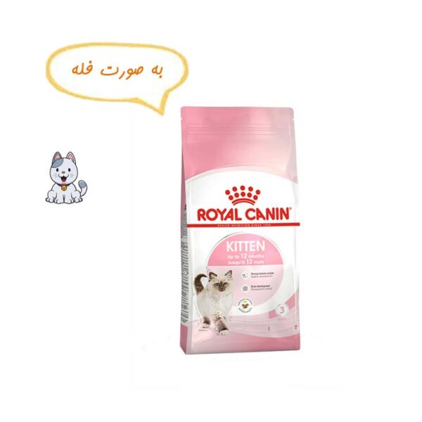 غذا خشک بچه گربه رویال کنین نیم کیلوگرم Royal Canin Kitten
